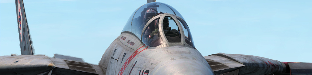 An F-14 tomcat crew